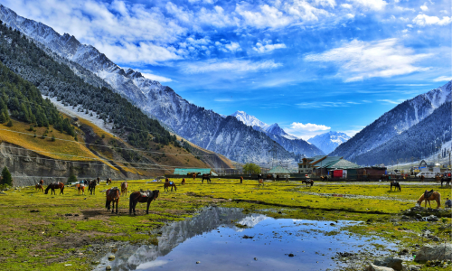 Pahalgam To Amarnath Yatra